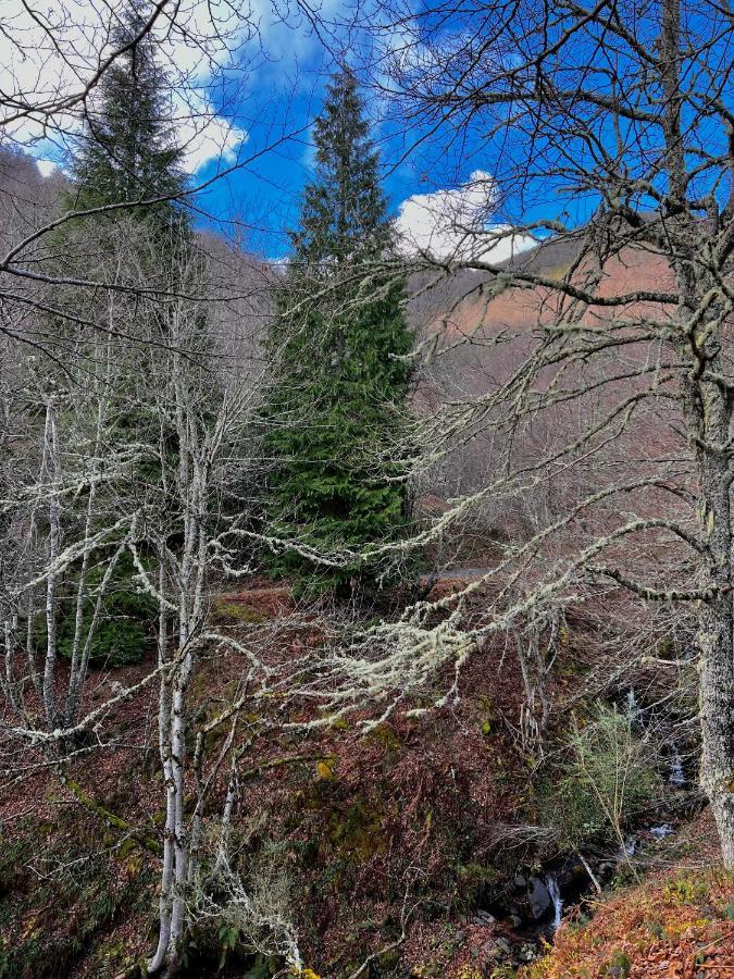 Vila El Jornu Dego Exteriér fotografie